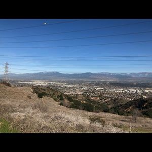 Meet your Posher, Willy